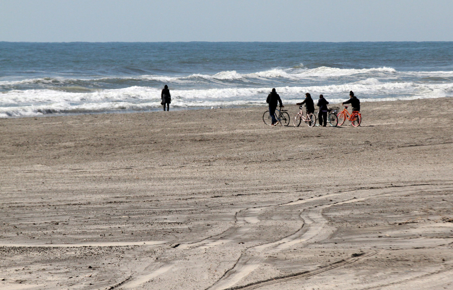Atlantic City Virus